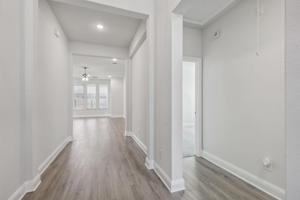 10324 Lenten Rose Street