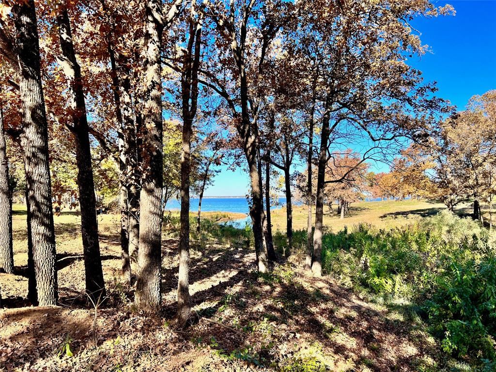 Admiral Shores - Land