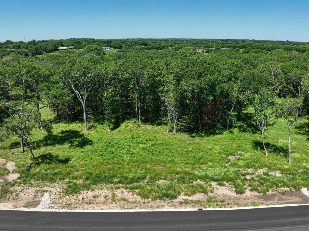 Towering Oaks - Land