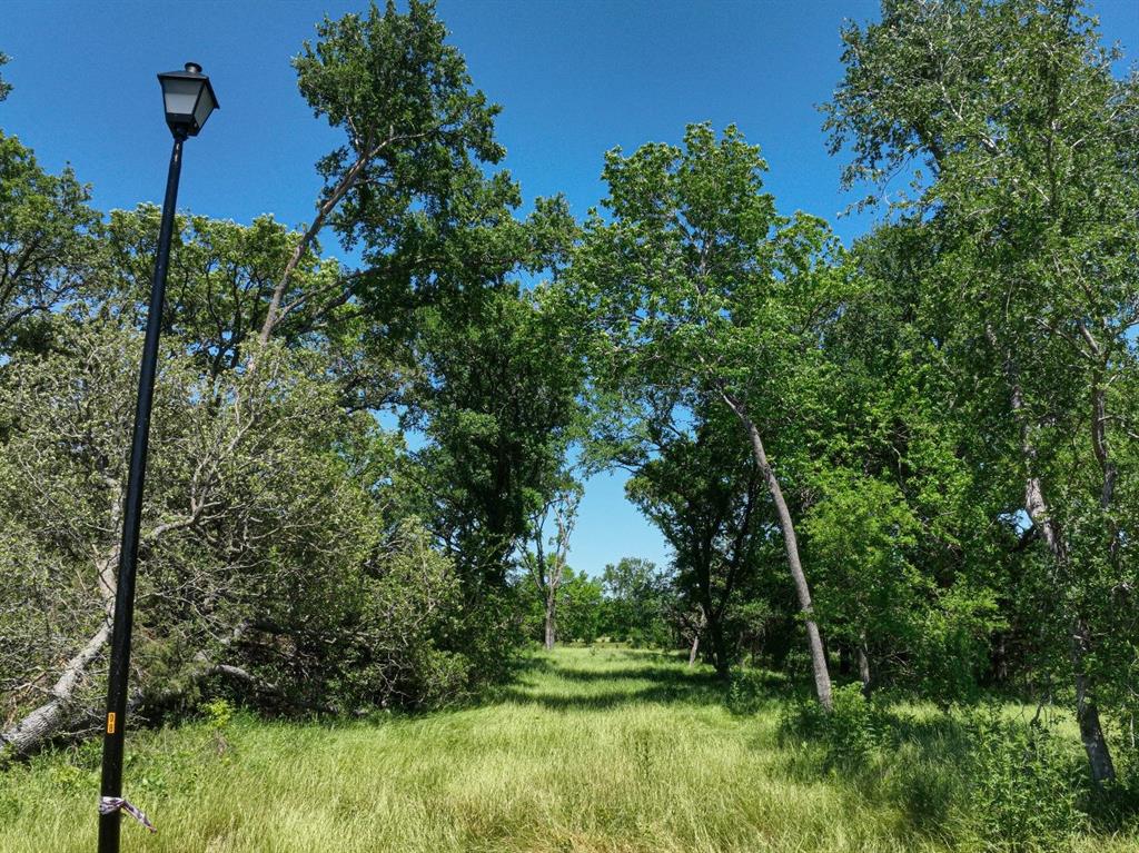 Towering Oaks - Land