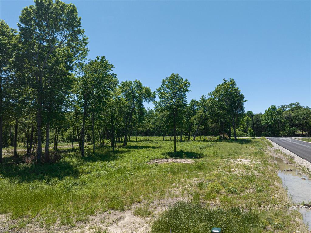 Towering Oaks - Land