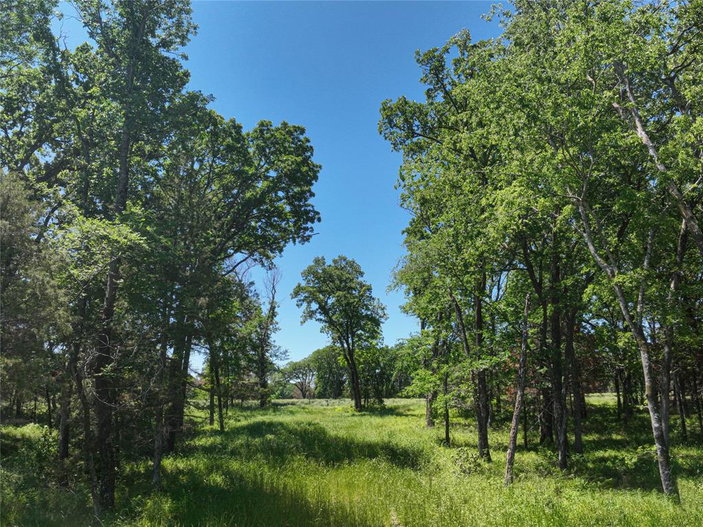 Towering Oaks - Land