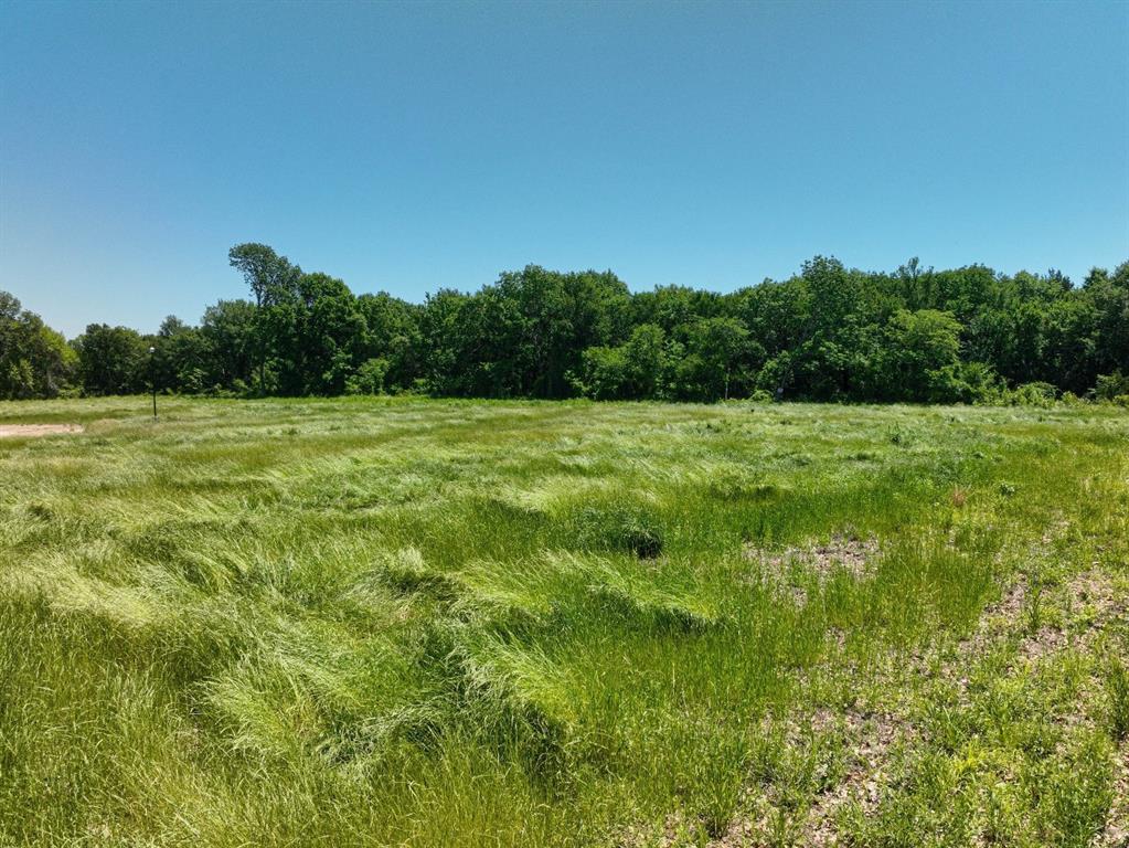 Towering Oaks - Land