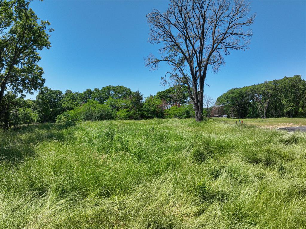 Towering Oaks - Land