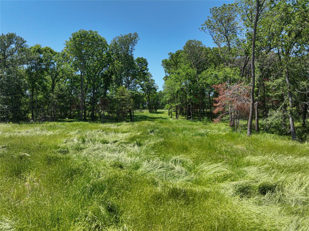 Towering Oaks - Land
