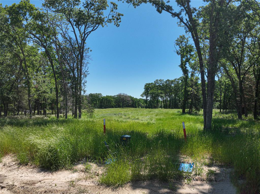 Towering Oaks - Land