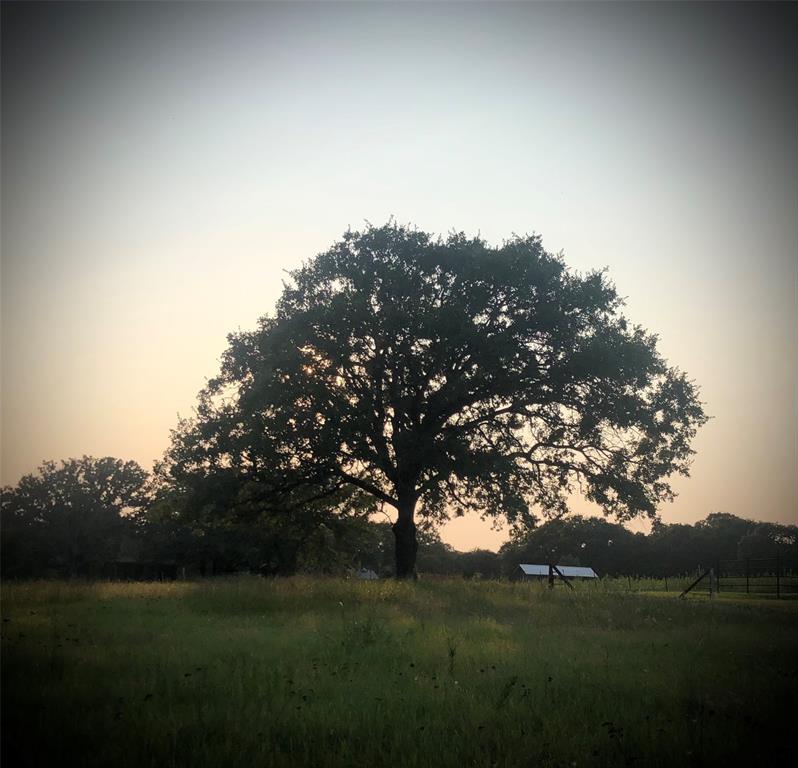 Hardaway Terrace - Farm