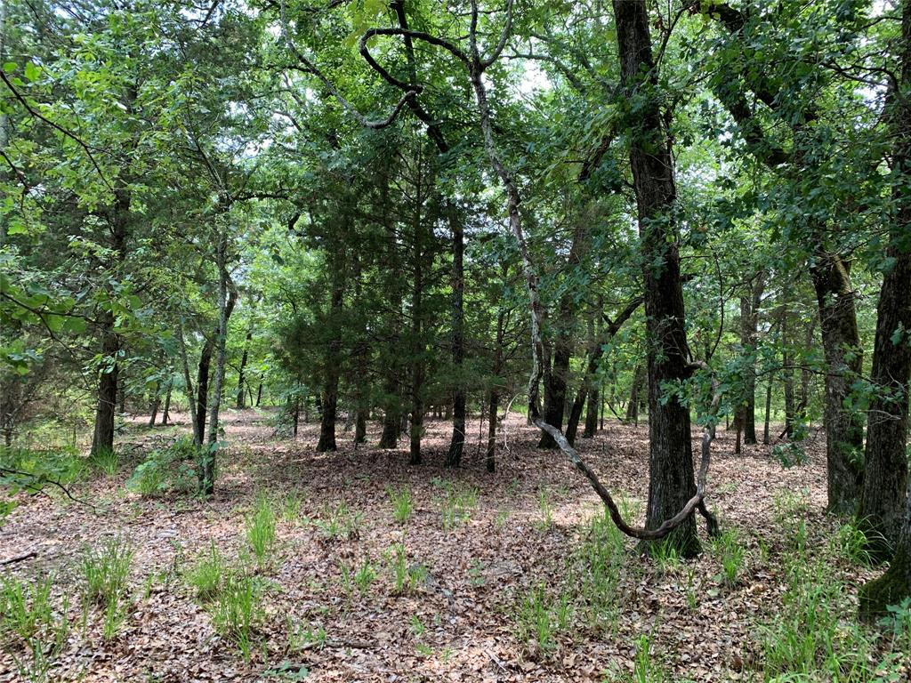 Hills of Athens - Land