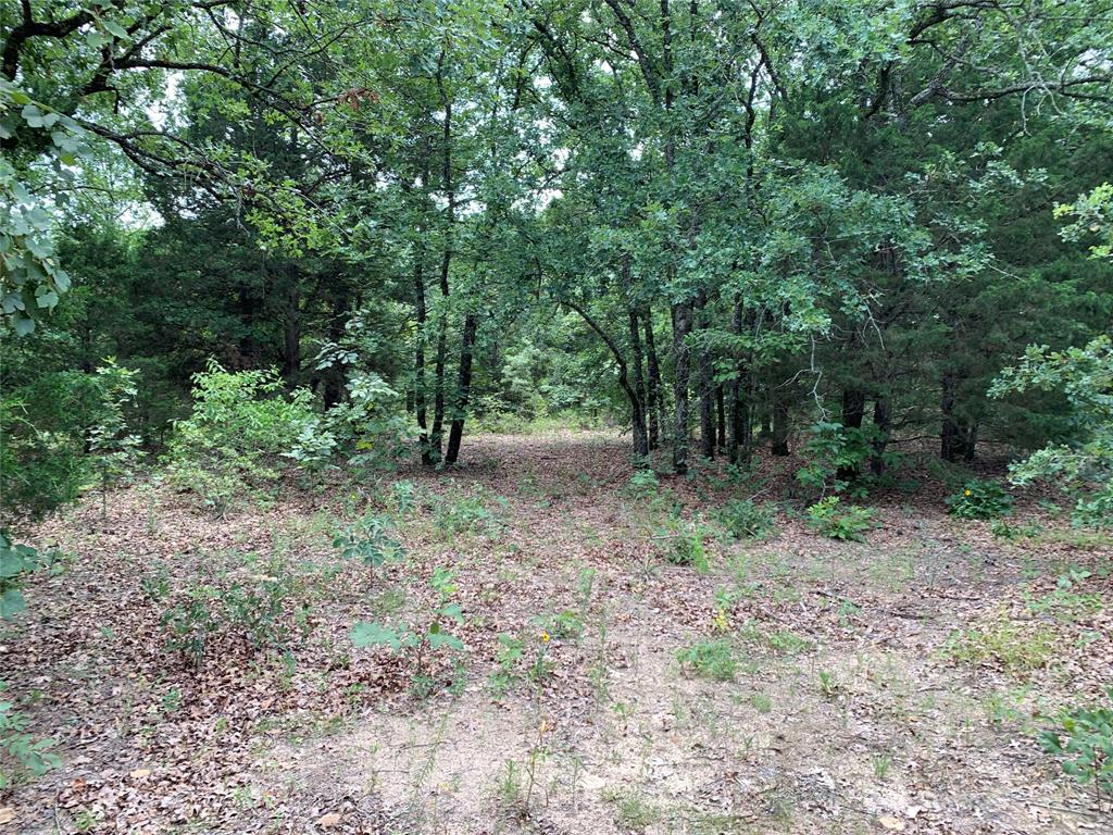 Hills of Athens - Land