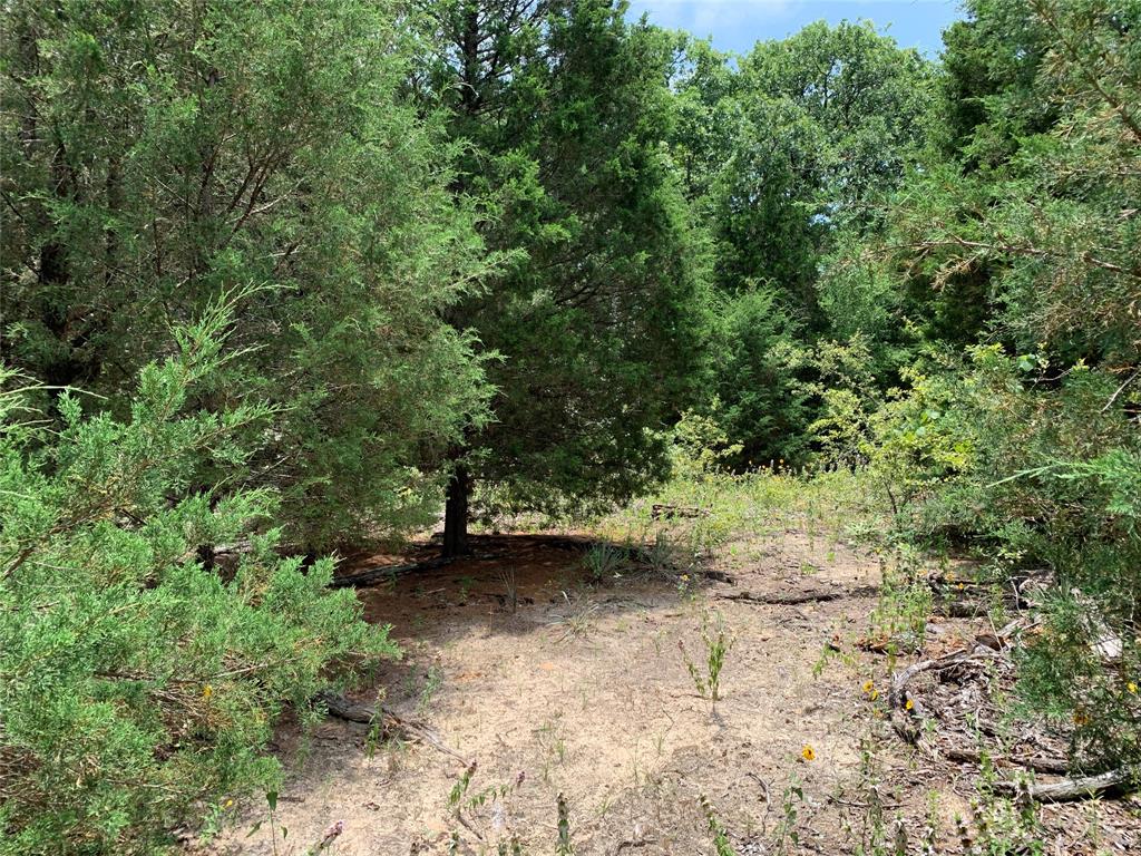 Hills of Athens - Land