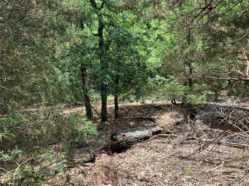 Hills of Athens - Land