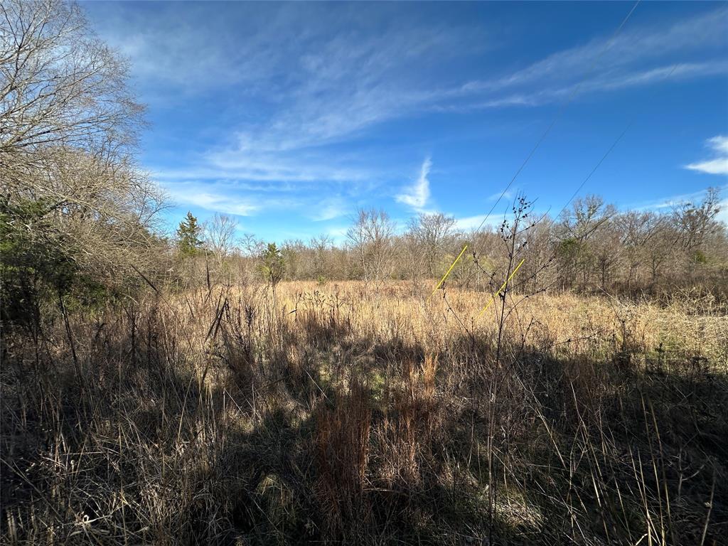 0000 County Road 2324