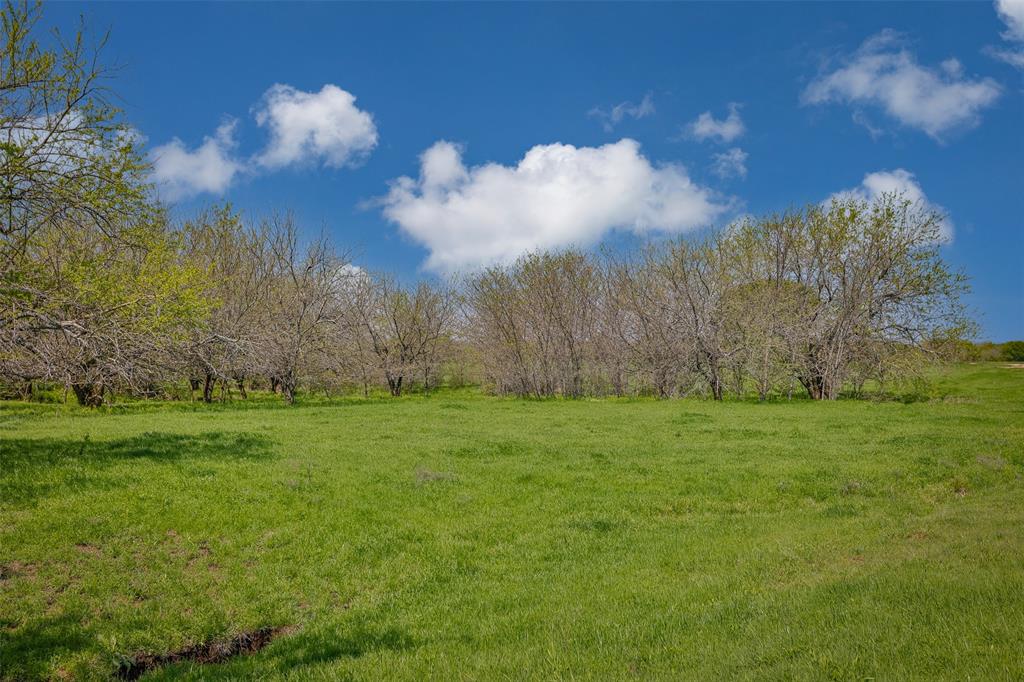 TBD Faber Road