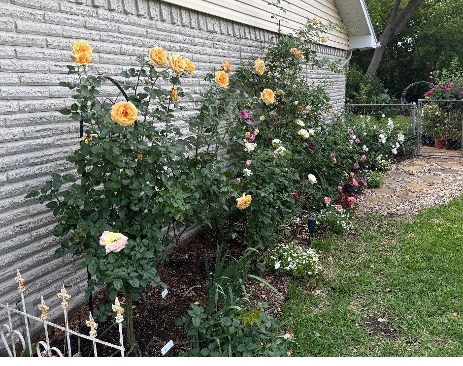 Wedgwood - Residential