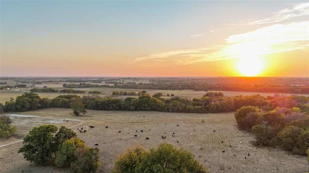 Polo Club Sub - Farm