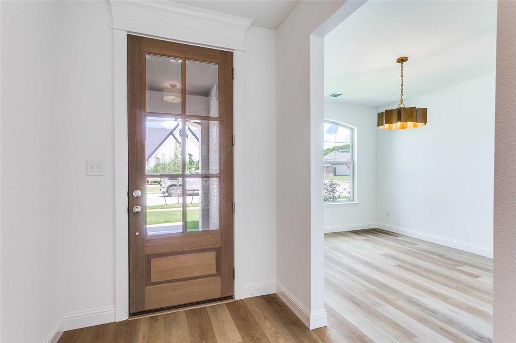 501 W Thoroughbred