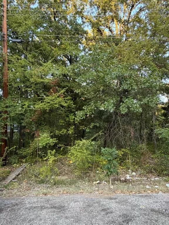 Photo 1 of 6 — 132 Chapperall Drive, Mabank, TX 75156