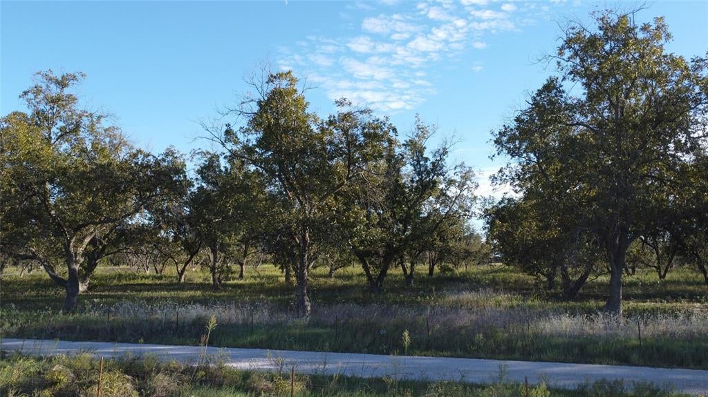 Lot 4 County Road 461