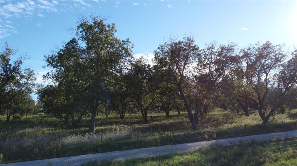Lot 4 County Road 461