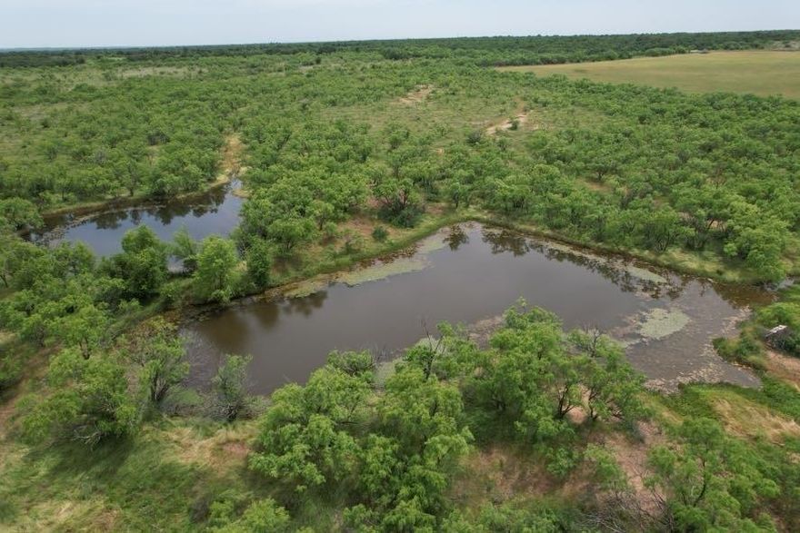 300± acres with nearly .25 miles of FM 600 frontage, just 16 miles north of Abilene. This ranch offers impressive diversity with 130± acres of wheat fields, 170± acres of native pasture, and roughly 40 acres of prime shinnery habitat ideal for wildlife. The land features 6 year-round ponds, a seasonal creek, and a healthy mix of oak, mesquite, and elm. A 24' wide gravel road built to county specs runs deep through the property, accompanied by Hawley water, electric, and fiber internet already in place. Main water line also crosses the ranch parallel to FM 600. Access available from both FM 600 and CR 356. Wildlife is abundant, including whitetail, pigs, turkey, and bobcat. This property is ready for a homesite or offers outstanding potential for subdivision or development. The possibilities are endless. {Information believed accurate but not guaranteed. Property sold “as is.” Acreage, maps & fence lines are approximate. Buyers should verify details. Subject to errors, changes, prior sale, or withdrawal.}