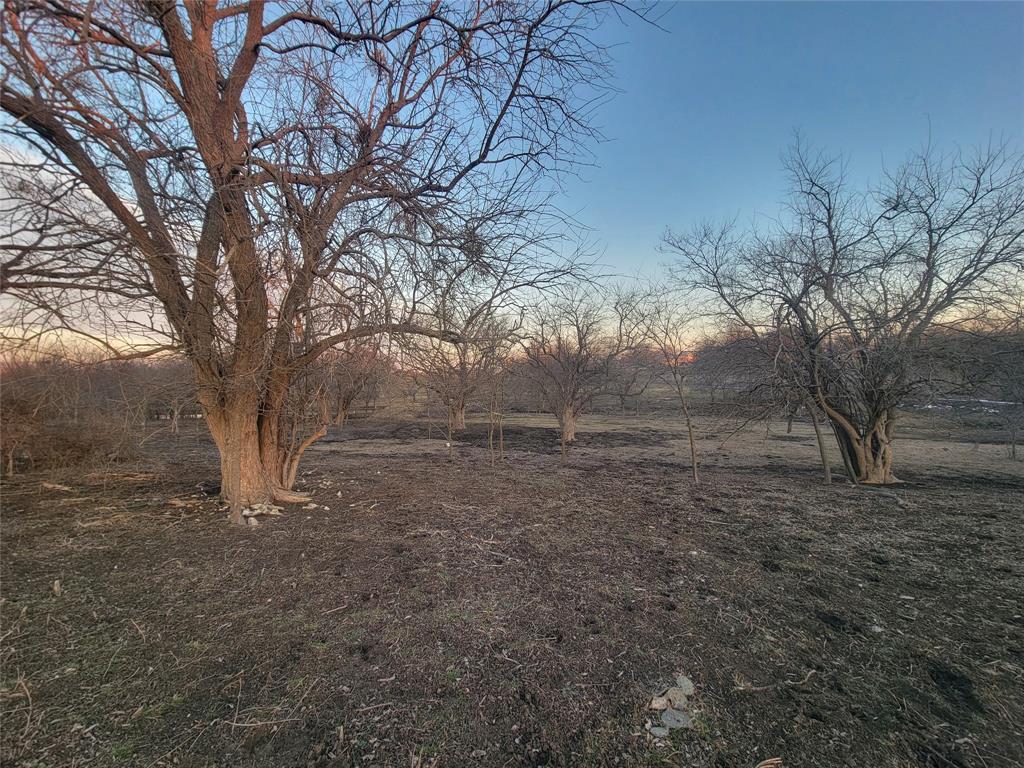 TJ Dilliard Surv ABS #221, 222 - Land