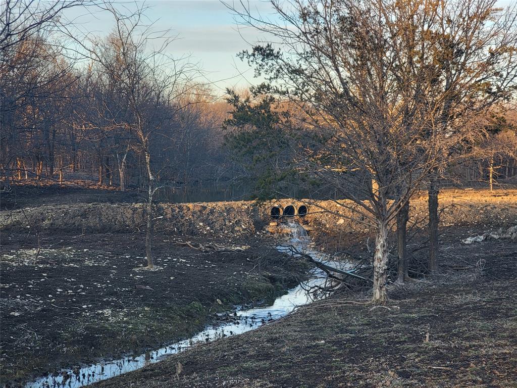 TJ Dilliard Surv ABS #221, 222 - Land