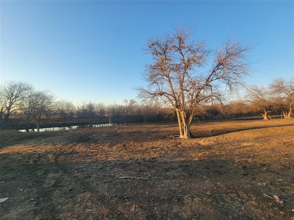 TJ Dilliard Surv ABS #221, 222 - Land