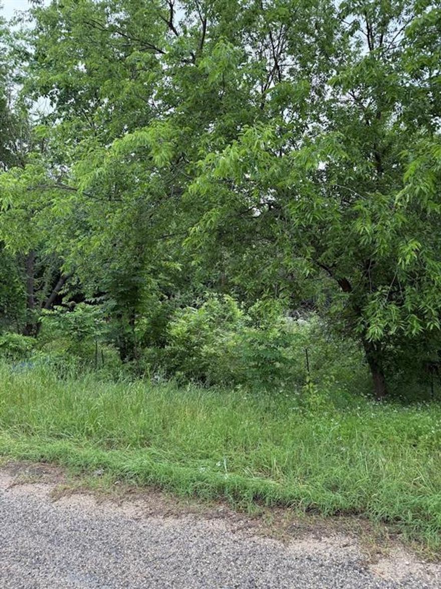 Nice interior lot with trees. Would be a great place to build a home or place a new mobile home. At one time their was a mobile home on the property and there is still some of it that remains and will have to be cleared off.