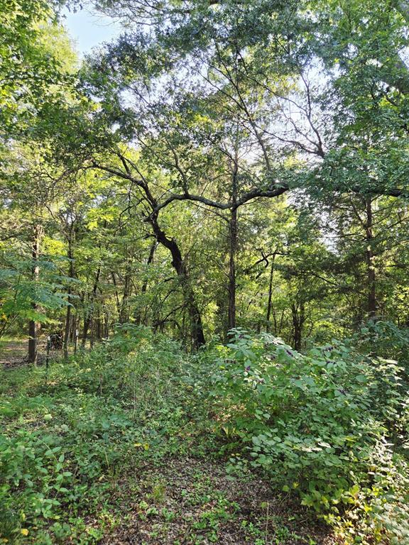 Copper Branch Estates - Land