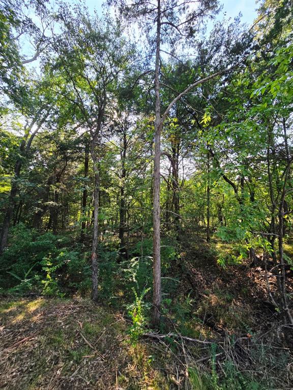 Copper Branch Estates - Land