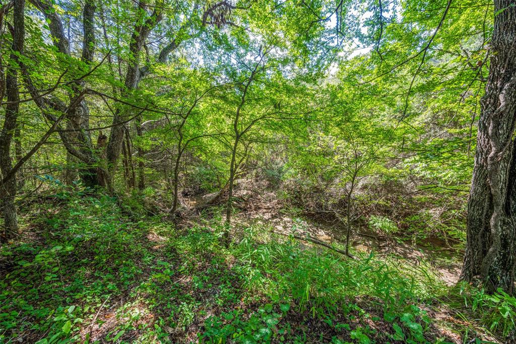 Copper Branch Estates - Land