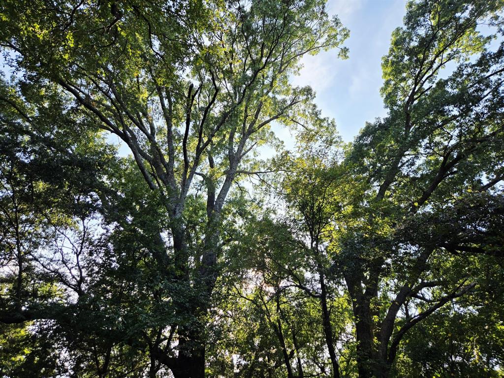 Copper Branch Estates - Land