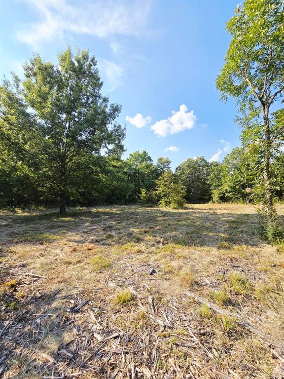 Copper Branch Estates - Land