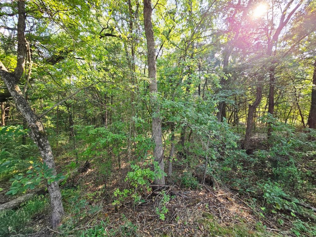 Copper Branch Estates - Land