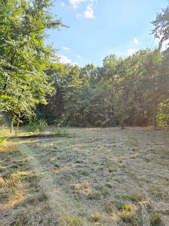 Copper Branch Estates - Land