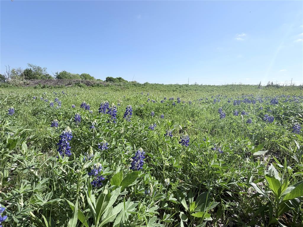 TBD County Road 3204