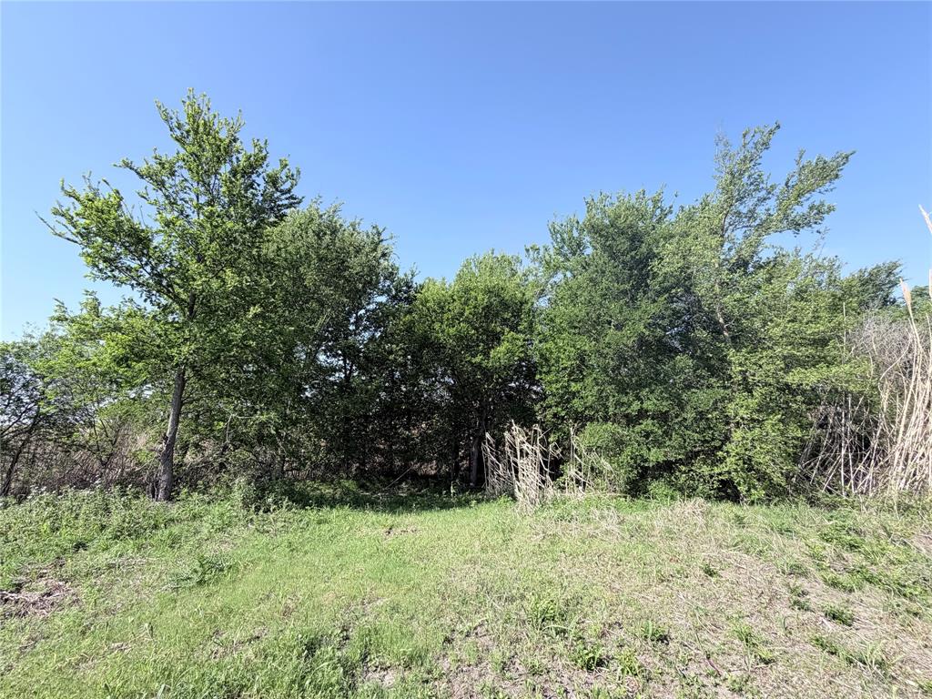 TBD County Road 3204