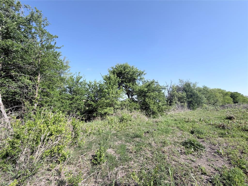 TBD County Road 3204