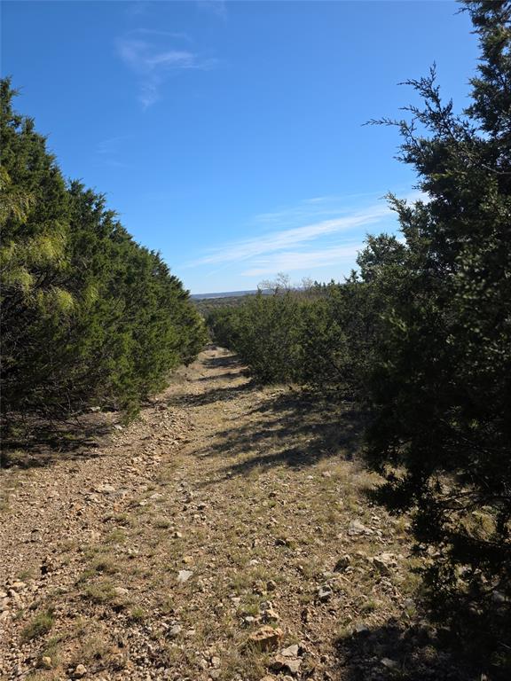 242.442 ACRES Mc clure Ranch Road