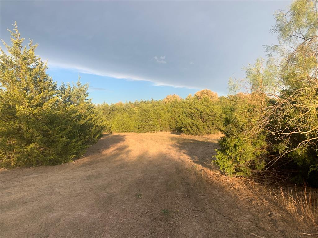 TBD County Road 2226