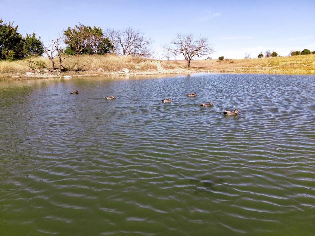 Alford Ranch Estates Unrecorded - Land