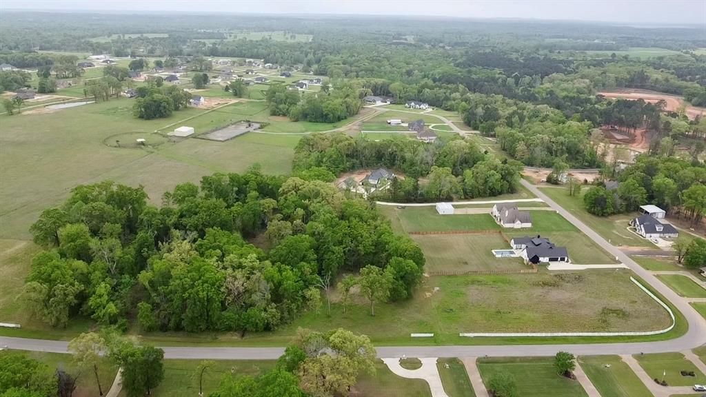 Photo of 21027 Gatlinburg Road, Bullard, TX 75757 (MLS # 21251539)