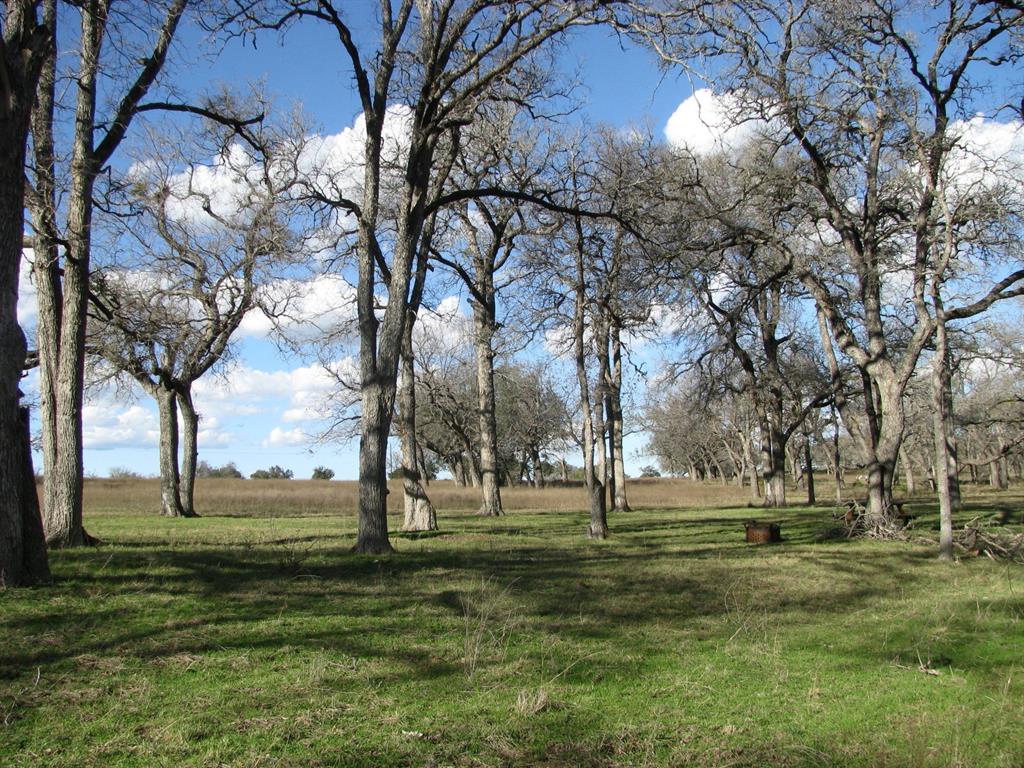 Buffalo Crk Ranch - Land