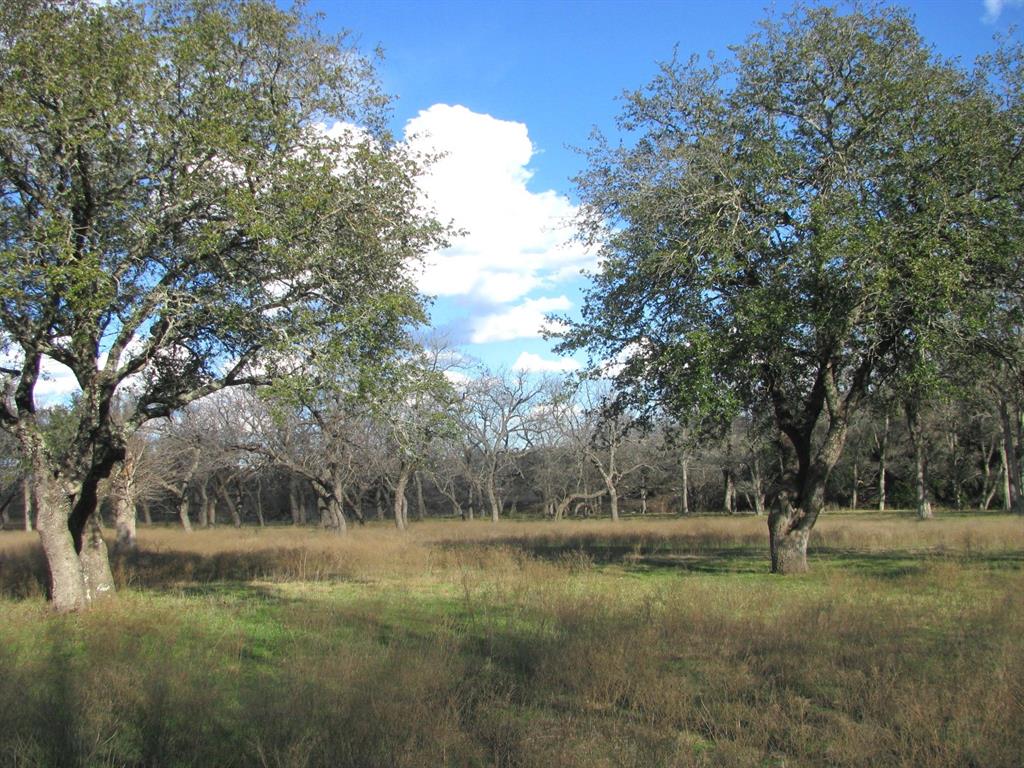 Buffalo Crk Ranch - Land
