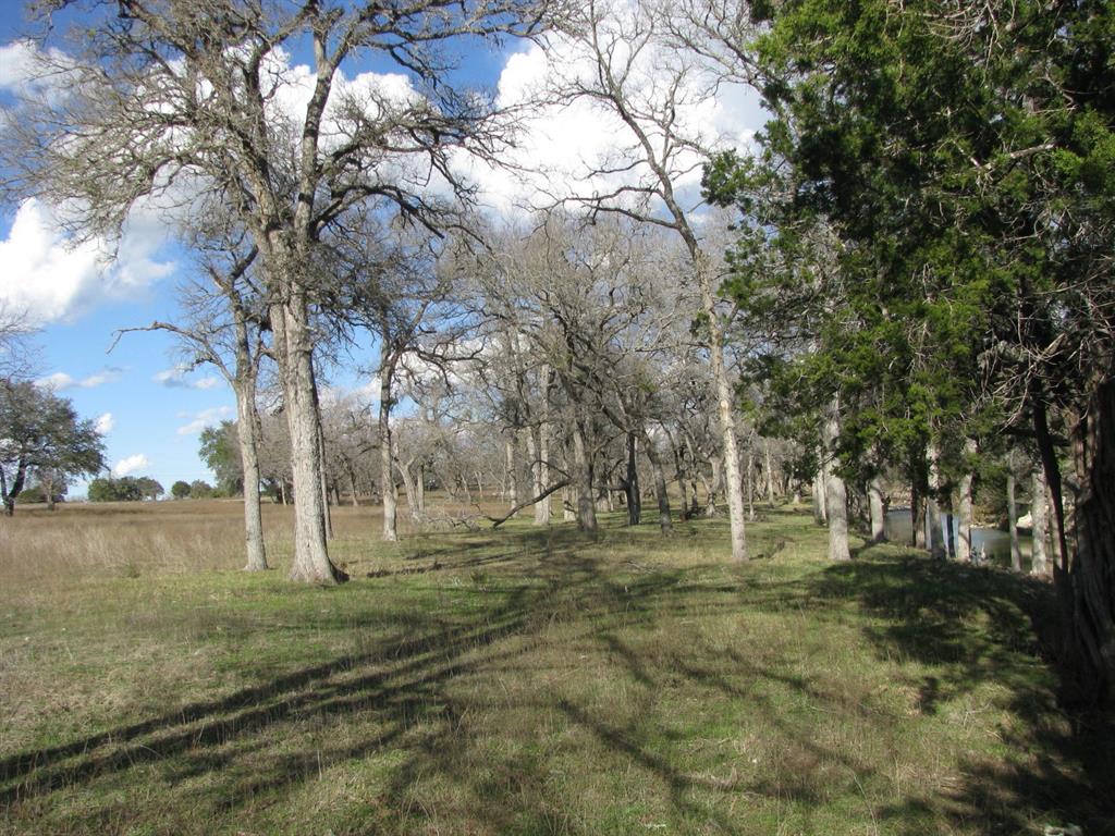 Buffalo Crk Ranch - Land