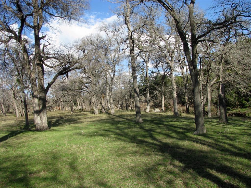 Buffalo Crk Ranch - Land