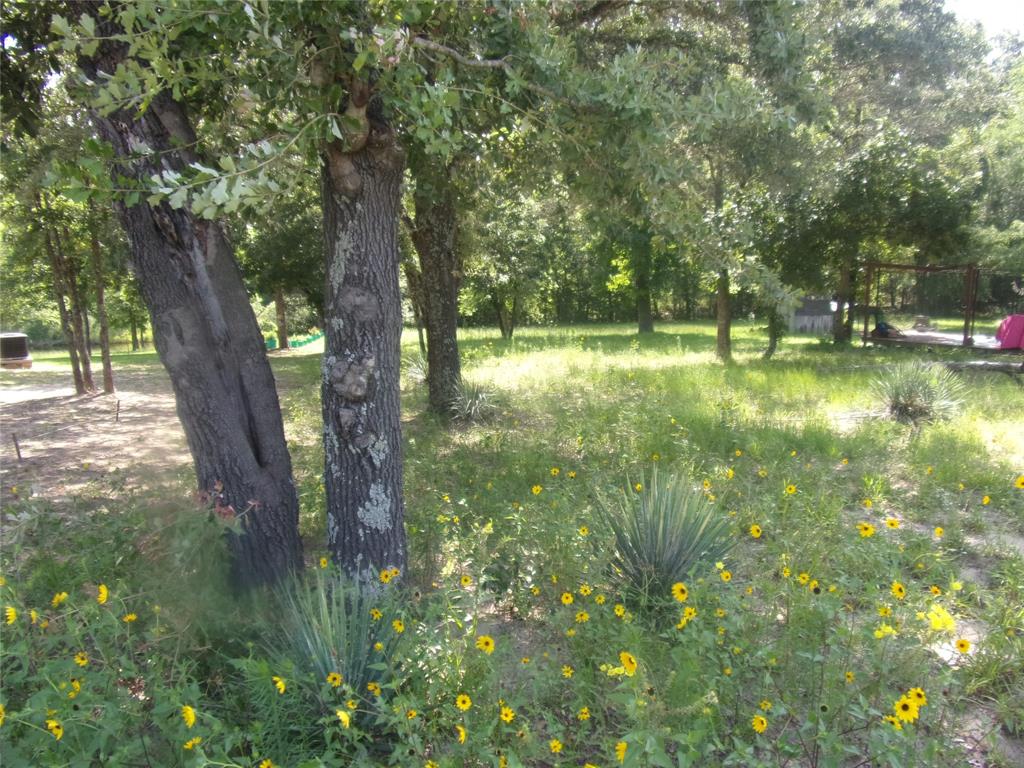 tbd Mesquite Lane
