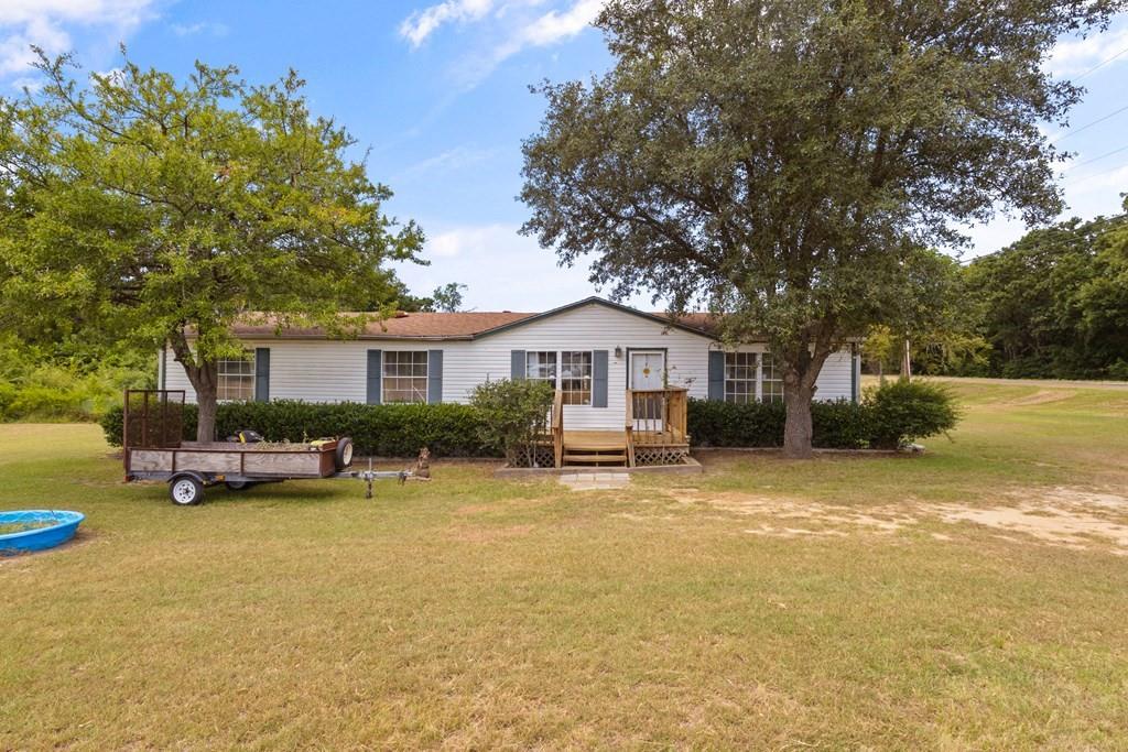 17414 Orange Blossom