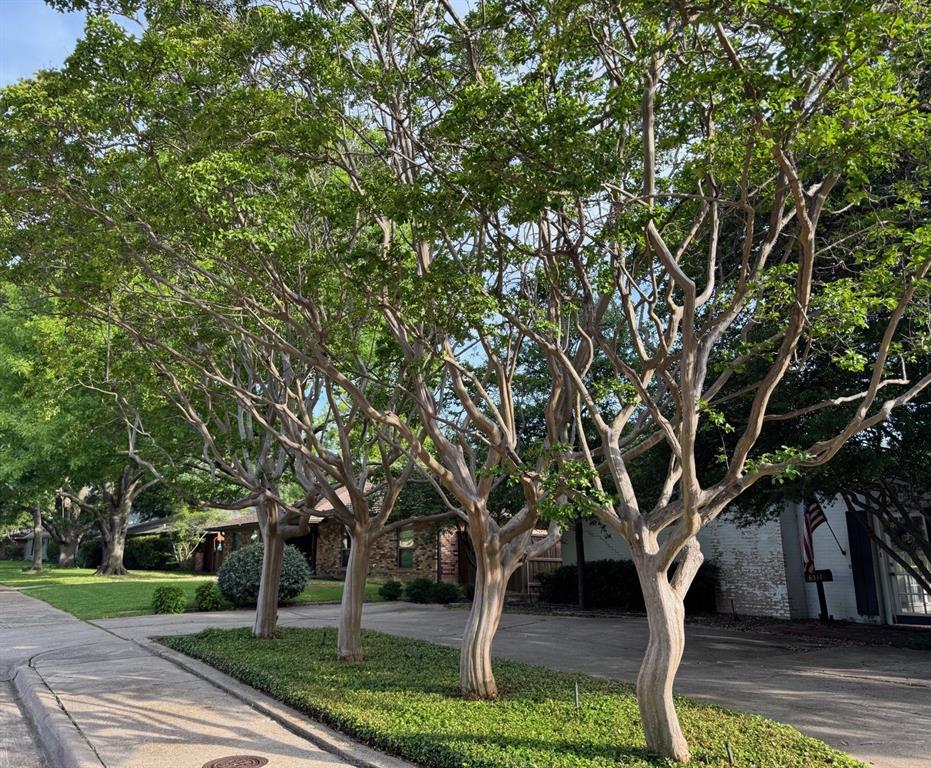 6311 Danbury Lane