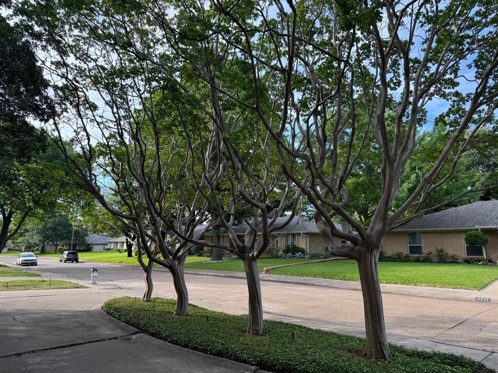 Lovers Lane East - Residential